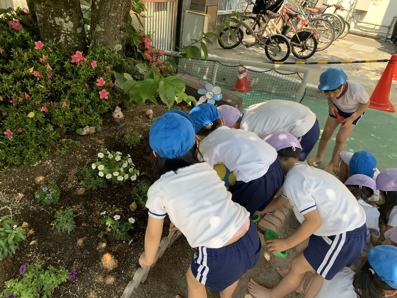 大日保育園