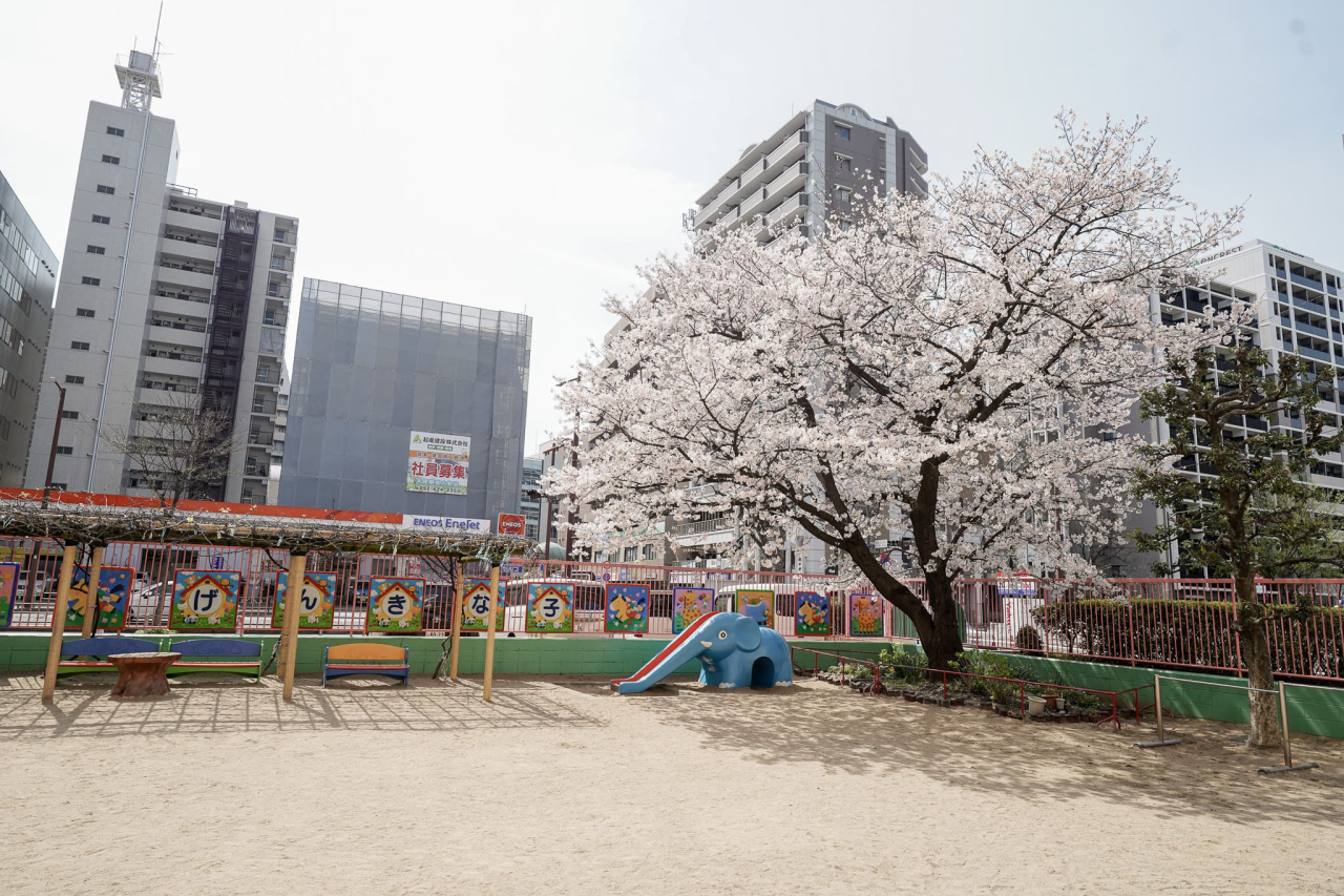 認定こども園 舞鶴保育園