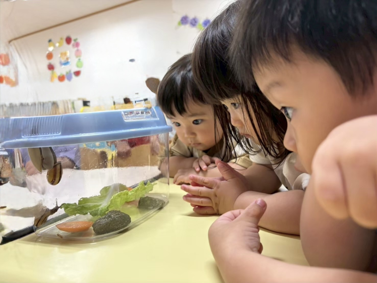 光の園保育園