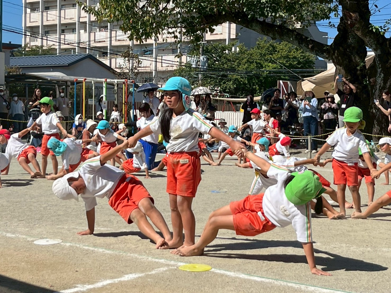 光の園保育園