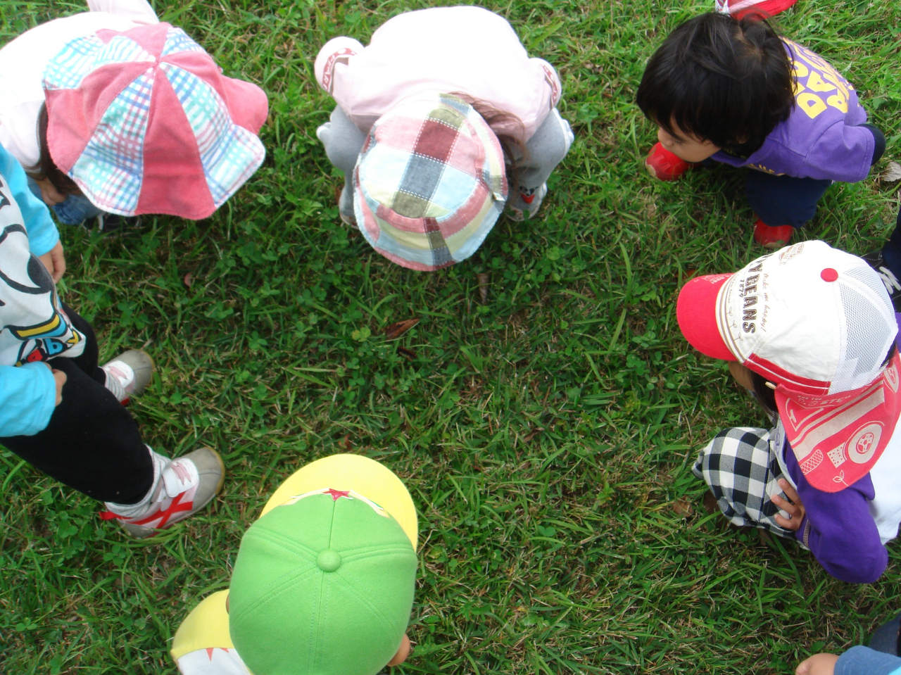 まつぼっくり保育園