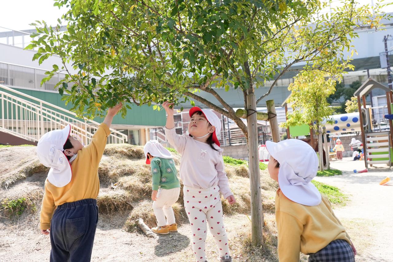姪浜もみじの森こども園