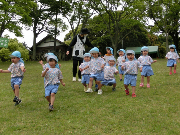 ひかりと風とサクランボ